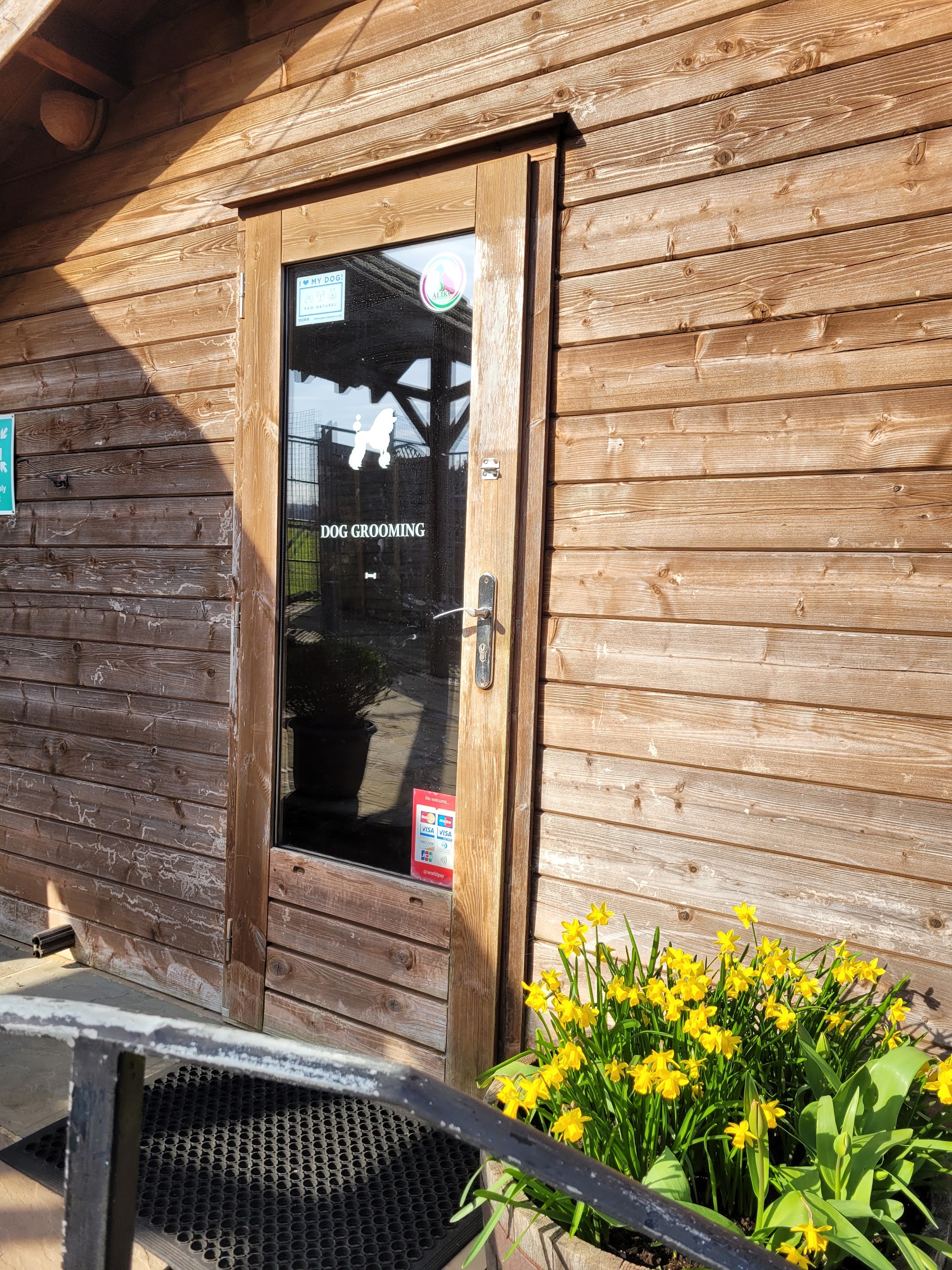 The timber grooming salon entrance with spring daffodils